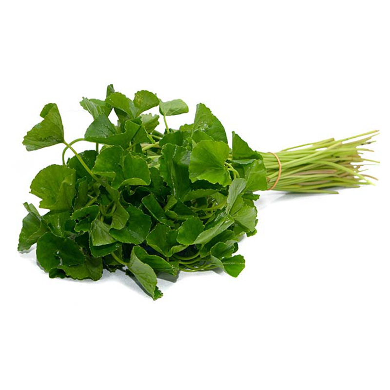 Gotu Kola
