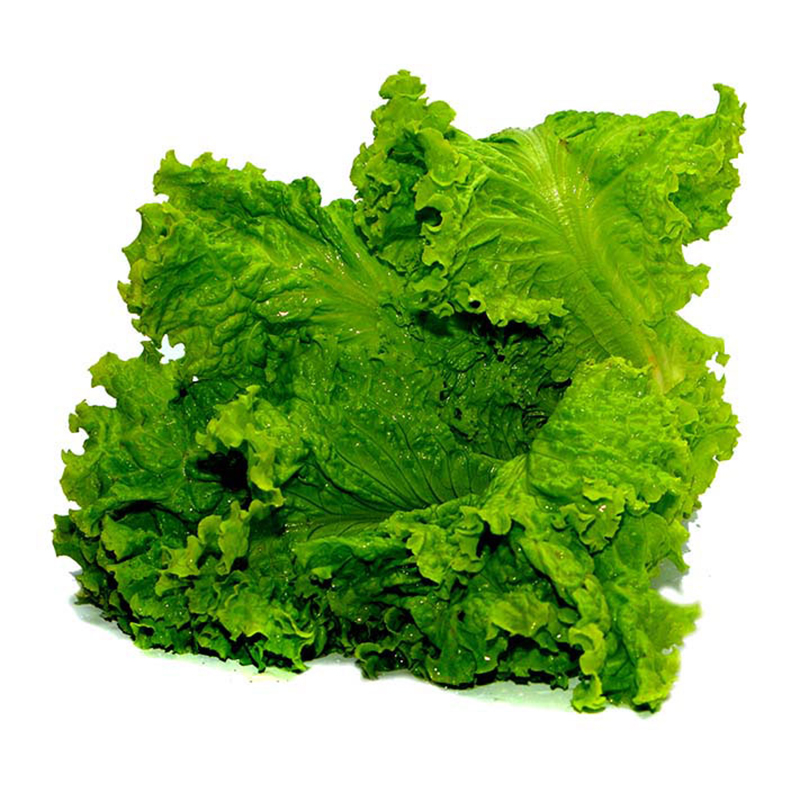 Saladhu