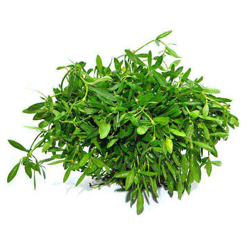 Ponnanganni Keera