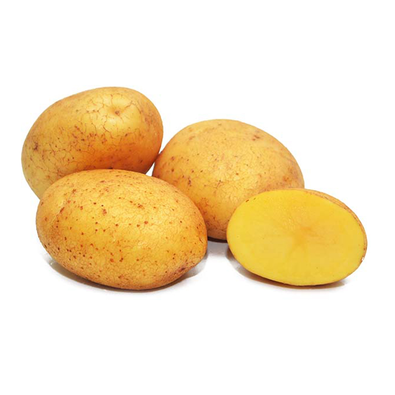 Potato - Imported