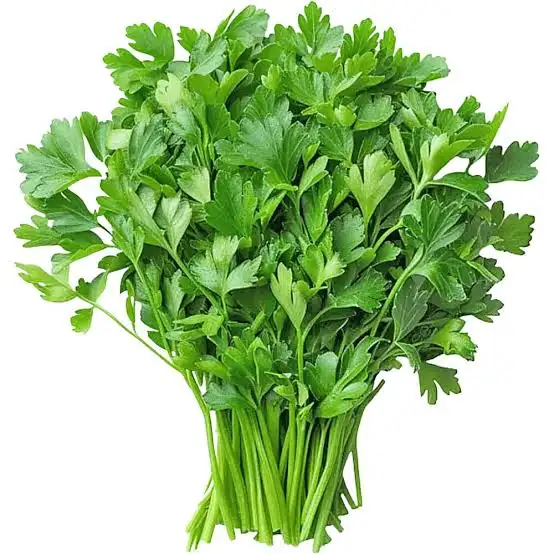 Main Image 4